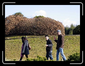 P.idf.seb 149 * 640 x 480 * (60KB)